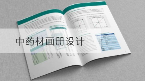 Albumdesign für chinesische Kräutermedizin
