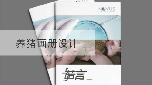 Design eines Schweinezuchtalbums