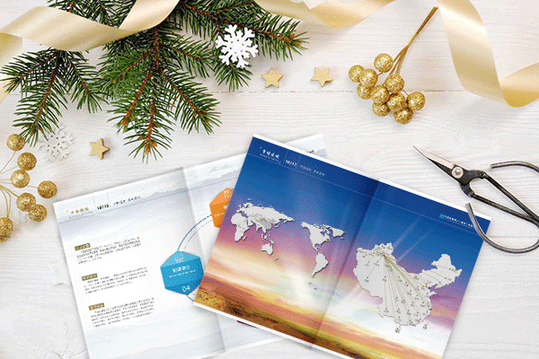 Corporate Picture Book
