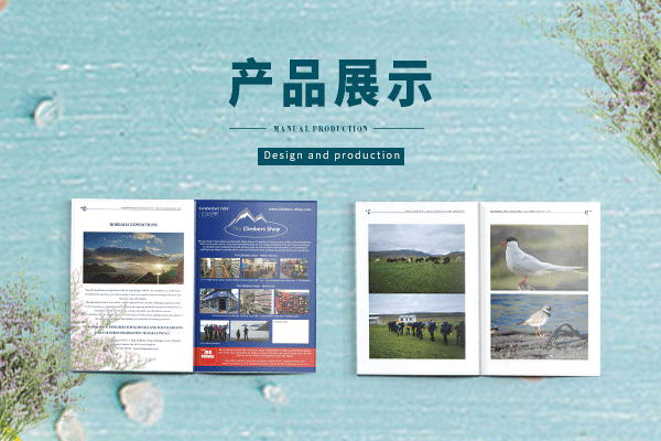 Gestaltung eines architektonischen Albums